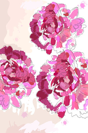beautiful blossom watercolor pink peony on white backgroundのイラスト素材