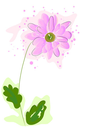 beautiful blossom watercolor chrysanthemum on white background のイラスト素材