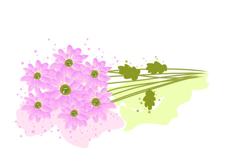 beautiful blossom watercolor chrysanthemum on white background のイラスト素材