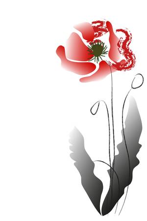 red poppyのイラスト素材