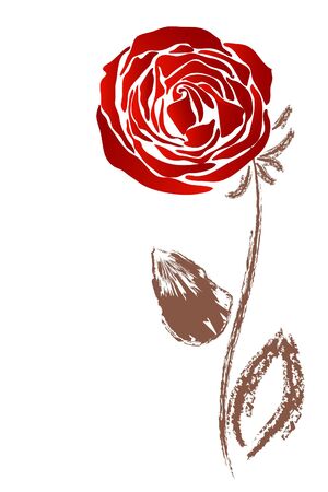 red roseのイラスト素材