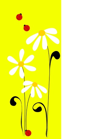 Chamomileのイラスト素材