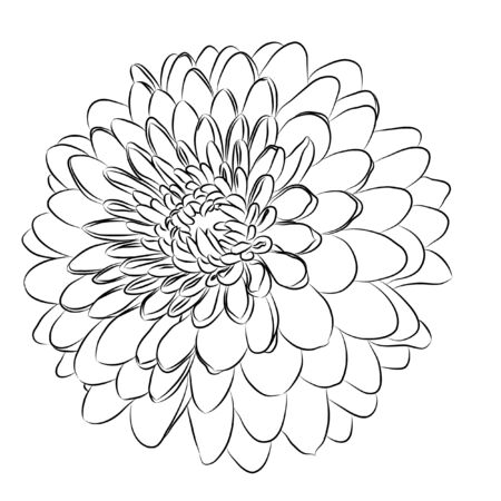 Floral backgroundのイラスト素材