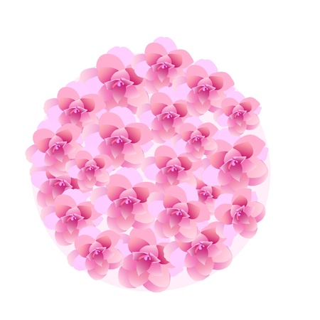 camellia ball