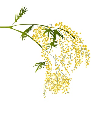 Flowerのイラスト素材