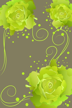 green roses on brown background (illustration)のイラスト素材