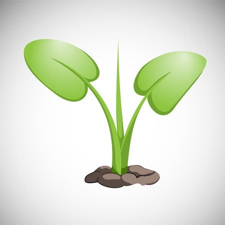 green Grass on white background (illustration)のイラスト素材