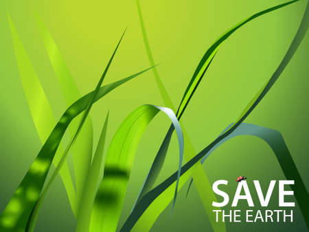 Summer Illustration (green grass and ladybug)のイラスト素材