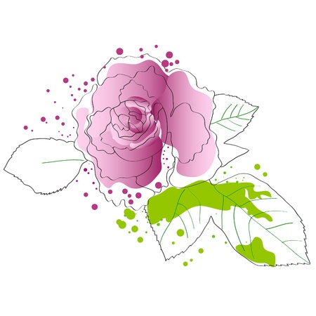 beautiful purple blossom rose on white backgroundのイラスト素材
