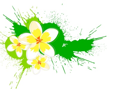 Beautiful bright colorful flowers (vector illustration)のイラスト素材