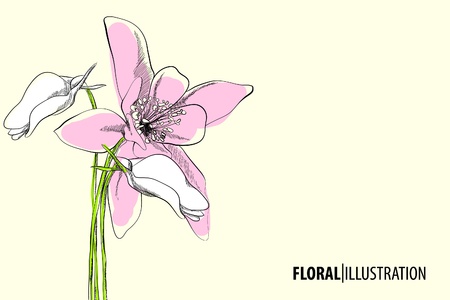 Beautiful floral vector illustration on light backgroundのイラスト素材