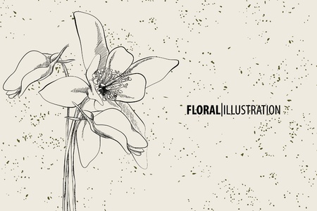 Beautiful floral vector illustration on gray backgroundのイラスト素材
