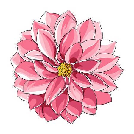 Floral illustrationのイラスト素材