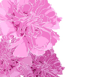 Floral illustrationのイラスト素材