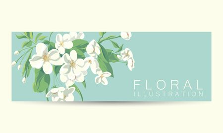 floral illustration of apple tree blossomのイラスト素材