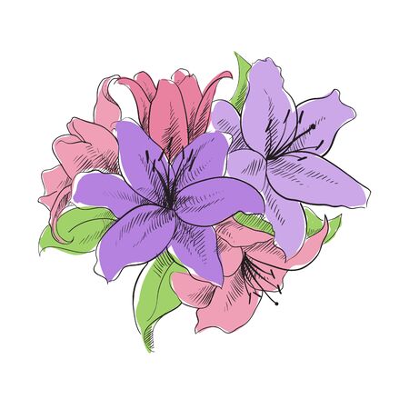floral illustration of lilly flowersのイラスト素材