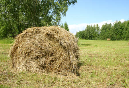 Hay bail harvesting in sunny day