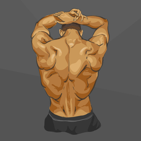 Fitness muscular man body illustrationのイラスト素材