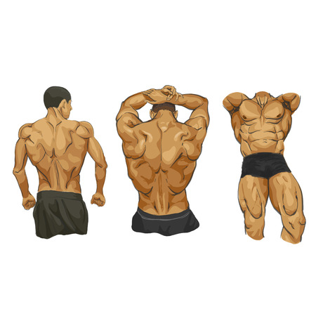 Fitness muscular man body illustrationのイラスト素材