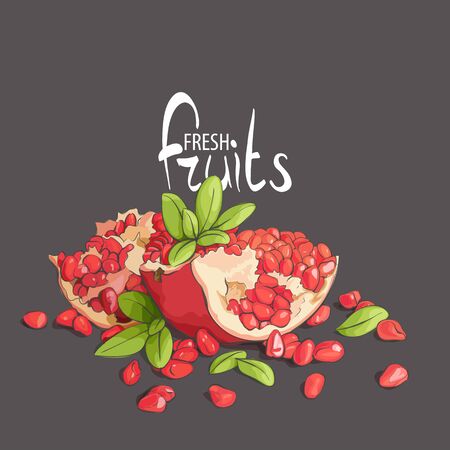 Grains of a pomegranate on a black backgroundのイラスト素材