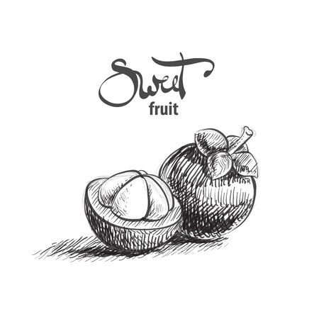Sweet tasty mangosteen on white backgroundのイラスト素材