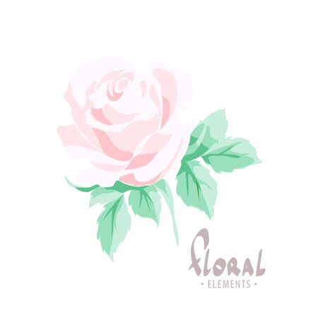 Rose of a pastel color for a beloved woman from the collection of a designer.のイラスト素材