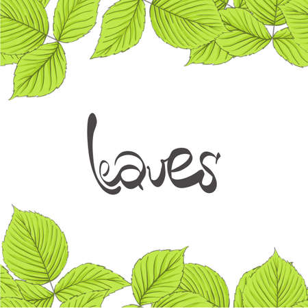 Vector illustration of green leaves on white.のイラスト素材