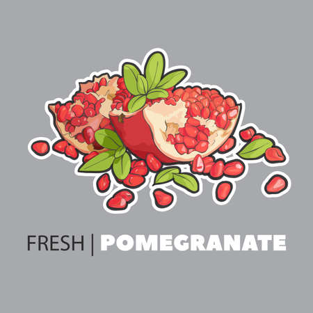 Fresh summer cartoon fruit illustrationのイラスト素材