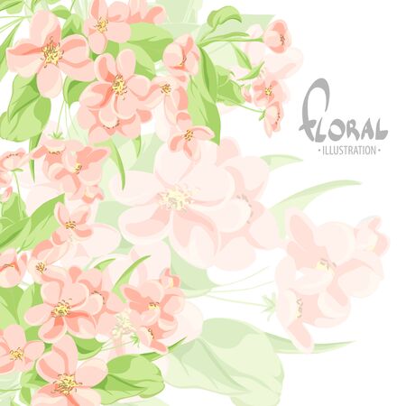 Delicate apple tree flowers on a white background with place for your inscriptionのイラスト素材