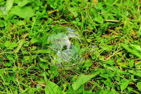 Multi-colored soap bubble lies on bright grass