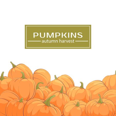 Many pumpkins are beautifully arranged on a white background with a place for writing.のイラスト素材