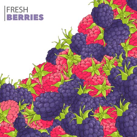 Juicy berries in foliage on a white background.のイラスト素材