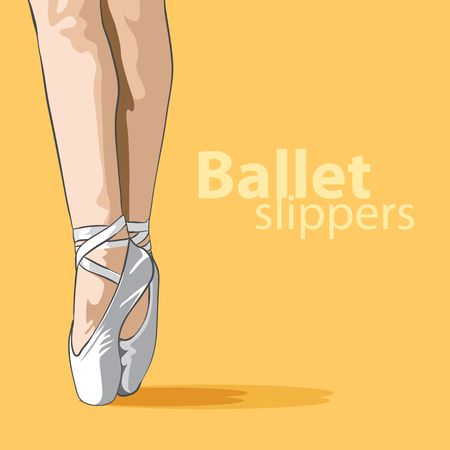 lovely female legs in ballet slippers Vector illustration.のイラスト素材