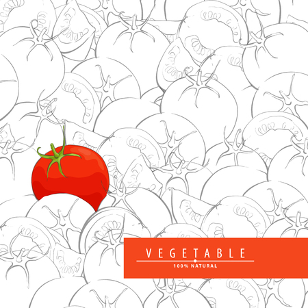 Group of outline fresh tomatoes and one red tomatoのイラスト素材