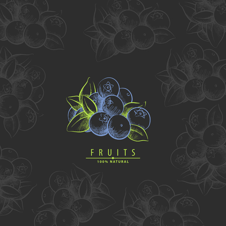 Fresh yummy sweet vector illustration of blueberryのイラスト素材