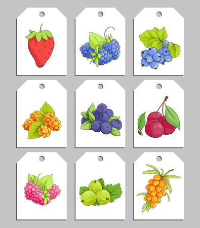 Vector set of bright tasty berry labelsのイラスト素材