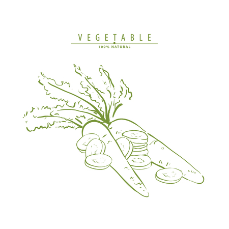 Fresh illustration of bright carrots on light backgroundのイラスト素材