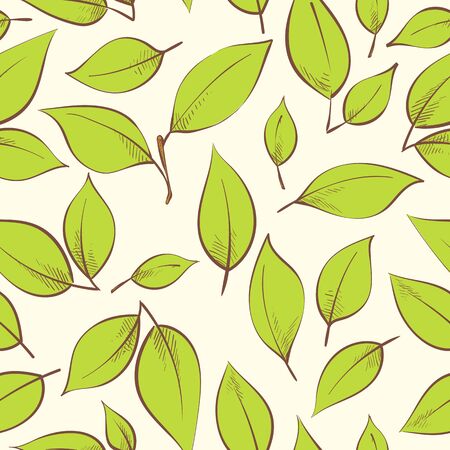 Fresh vector illustration of oranges on light backgroundのイラスト素材