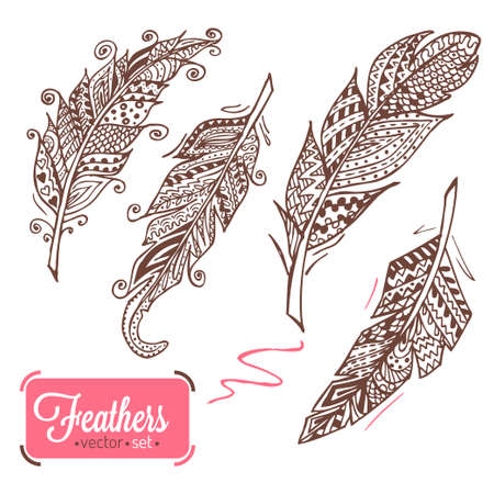 Hand drawn doodle feather collection. Vector illistration.のイラスト素材