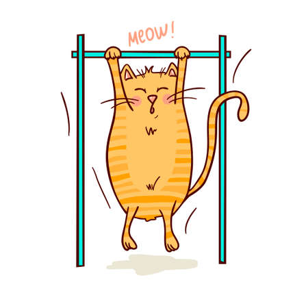 Cute funny cat doing pull ups. Vector illustration. Healthy lifestyle and sport imageのイラスト素材