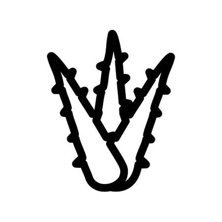 Agave aloe vera outline icon. Cut succulent leaves. Sliced cactus thorns. Plant sprouts. Line customizable illustration. Contour symbol. Vector isolated drawing.のイラスト素材