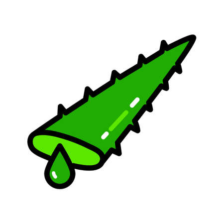 Agave aloe vera color line icon. Cut succulent leaves. Sliced cactus thorns. Green plant sprouts. Line customizable illustration. Contour symbol. Vector color isolated drawing.のイラスト素材