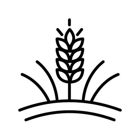 Vector farm wheat ears icon template. Linear whole grain symbol illustration. Simple oat growth design concept. Farm agriculture oat signのイラスト素材