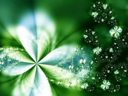 Beautiful flowers on a black backgroundの写真素材