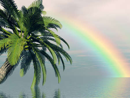 Wonderful rainbowの写真素材