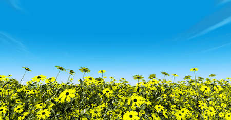 Spring sceneryの写真素材