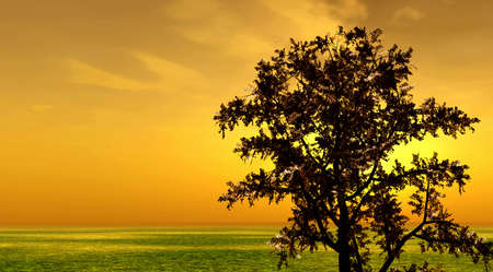 Sunsetの写真素材