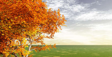 Autumn sceneryの写真素材