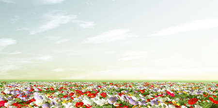 Spring scenery with primroses