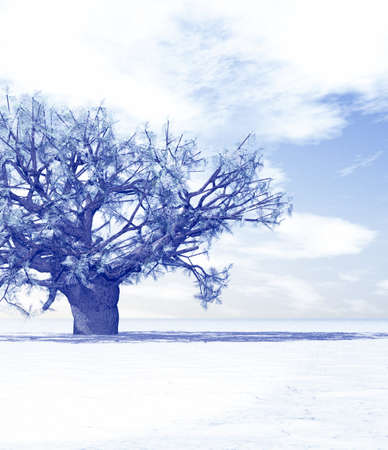 Winter sceneryの写真素材